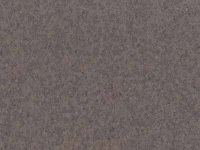 PUMICE STONE